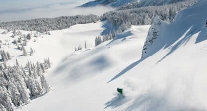 A skier carves through untouched snow in a mountainous winter landscape.